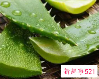 怎样用新鲜的芦荟祛斑美白