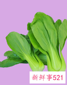 各种青菜大全图片
