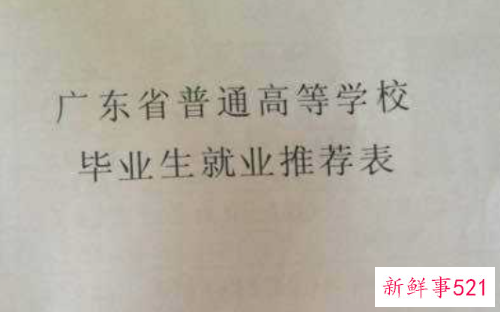 大学生就业表怎么填写
