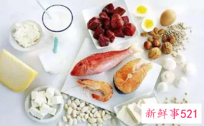 什么食物富含蛋白质