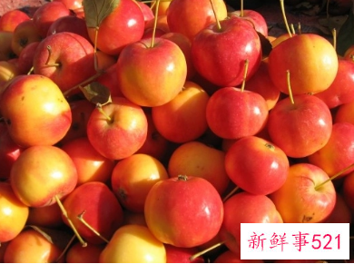 沙果有哪些功效与作用