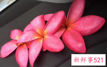 人死后还会投胎吗