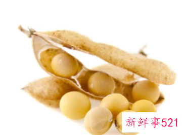 哪些食物蛋白质属于优质蛋白质