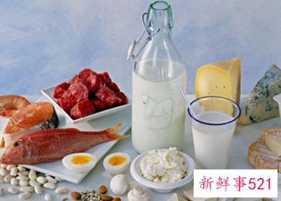 高蛋白饮食危害
