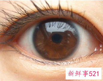 单眼皮和双眼皮怎么区分图片