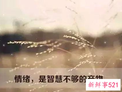 在职场解释就是掩饰