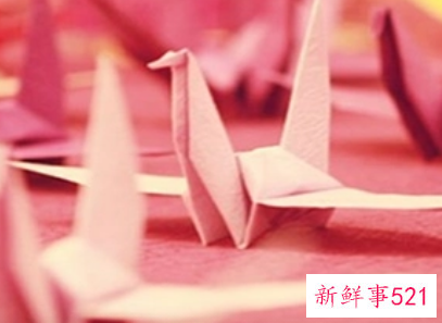 千纸鹤的含义是什么意思