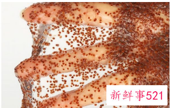 敷海藻面膜的步骤