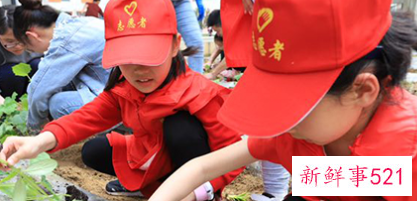 社会实践活动报告怎么写