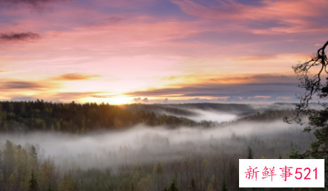 梦见自己拉屎粘在身上