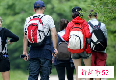 团队建设规划思路