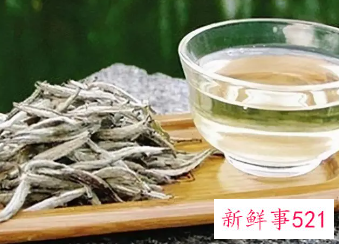 白毫银针的泡法和水温