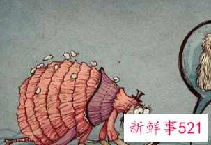 梦见自己有虱子周公解梦