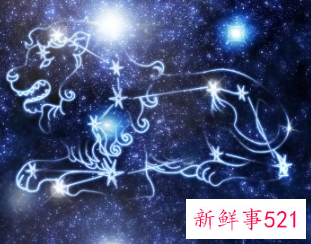 狮子座躲不掉的情劫星座
