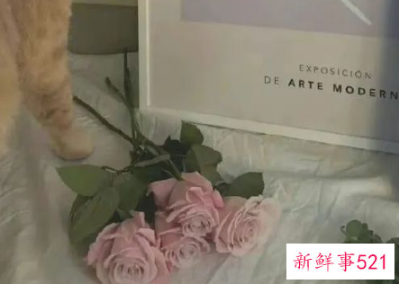 主动去找女生会不会反感