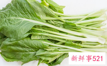 各种青菜大全图片