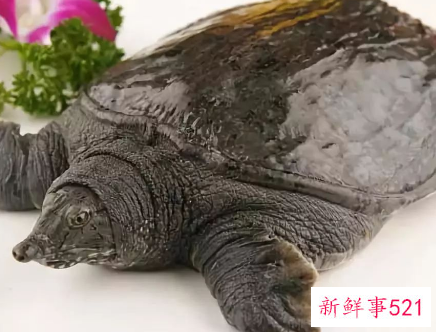 什么鱼营养价值最高又便宜