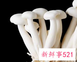 金针菇和什么相克