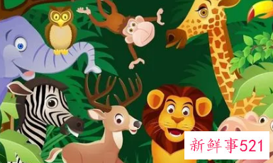 该如何保护野生动物