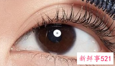 六款纤长睫毛膏