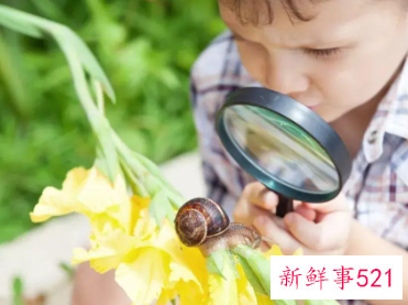 4—5岁敏感期及应对方法