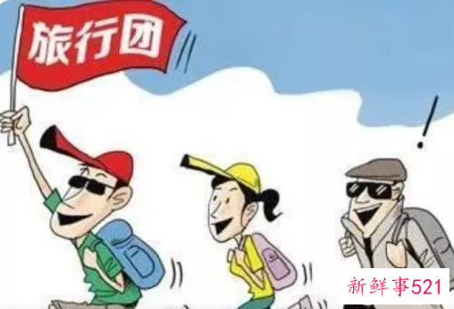 导游自荐信500字