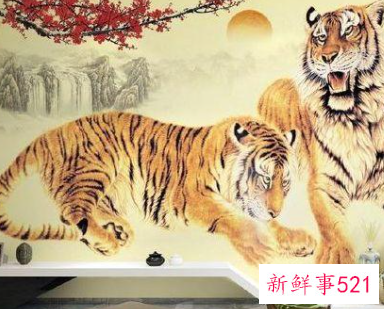 家里客厅挂梅花画好不好