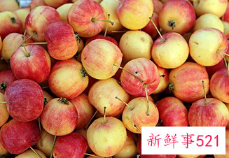 没熟的沙果能吃吗