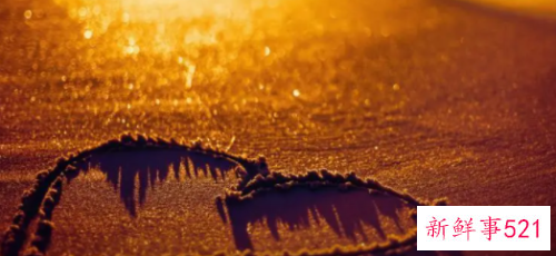 女生问你你觉的我怎么样回答