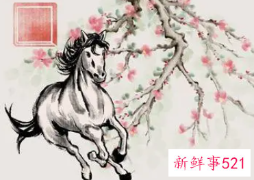 属马感情和桃花运