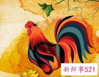 属鸡的床要放在哪个位置