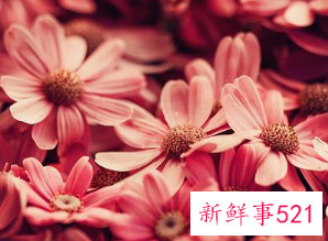 生活的经典短句