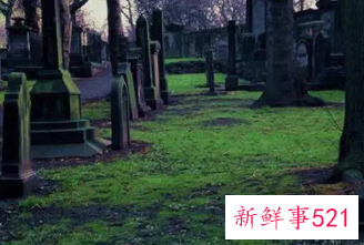 梦见好多人在起坟