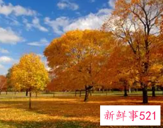 代表秋天的三样东西