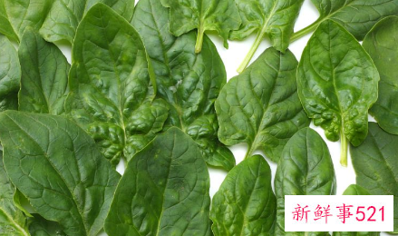 红薯叶的功效与作用禁忌