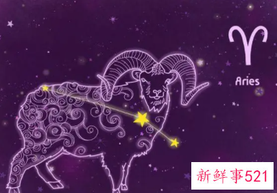 什么星座审美观最好