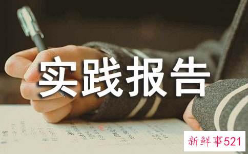个人实践报告300字