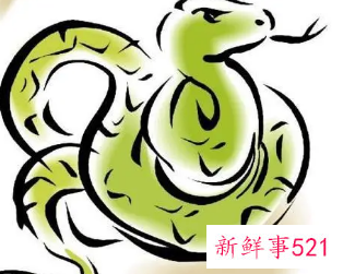 生肖蛇女旺夫吗