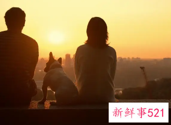 怎样撩妹网上聊天套路