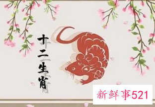 属鼠的桃花劫是哪个生肖