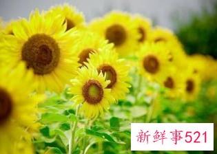 生活的经典短句