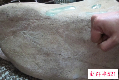 世界上最大的翡翠原石