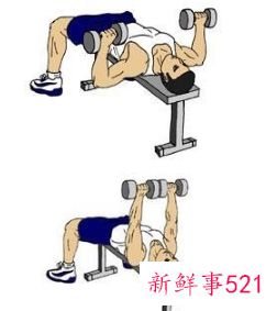 练胸的动作顺序