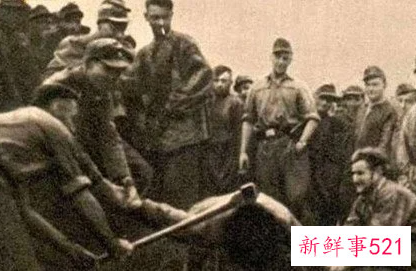 梦见头被砍了是什么意思