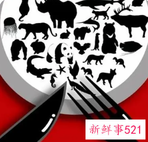 保护野生动物宣传顺口溜