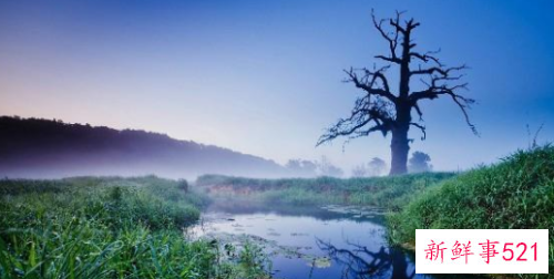 经典情感语录句句扎心