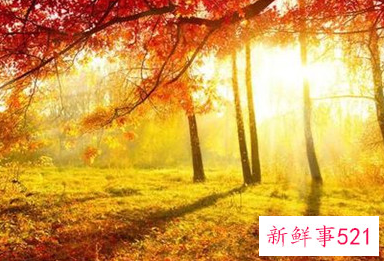 让心爱人感动的句子