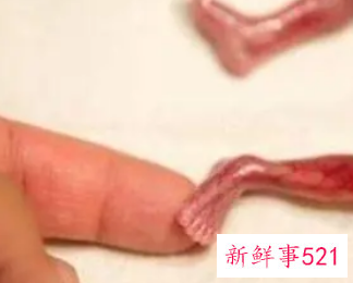 怀孕5个半月能打胎吗