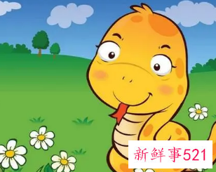 关于蛇的顺口溜