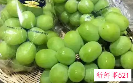 孕妇梦见吃青提子生男生女